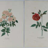 Sammlung - фото 3