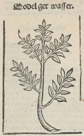 Sammlung - фото 1