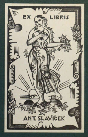 Sammlung - photo 10 Sammlung - photo 10