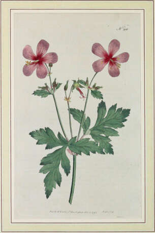 Konvolut - фото 2 Konvolut - фото 2