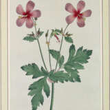 Konvolut - фото 2