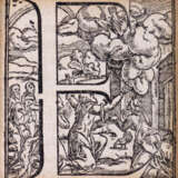 Konvolut - фото 5