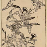 Konvolut - фото 8