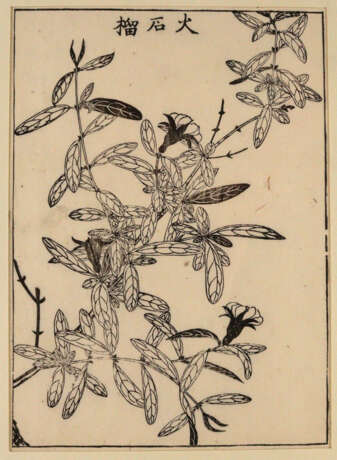 Konvolut - фото 8 Konvolut - фото 8