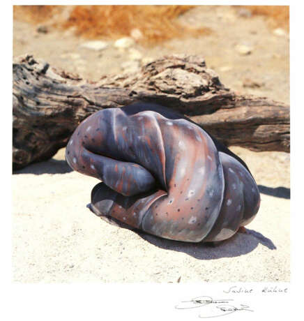 Konvolut - фото 1