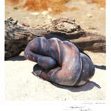 Konvolut - фото 1