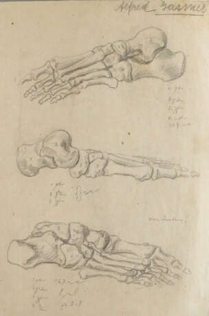 Anatomie. - Foto 4 Anatomie. - Foto 4