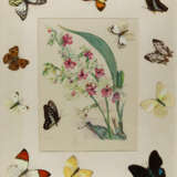 Fer, Nicolas de - Foto 4