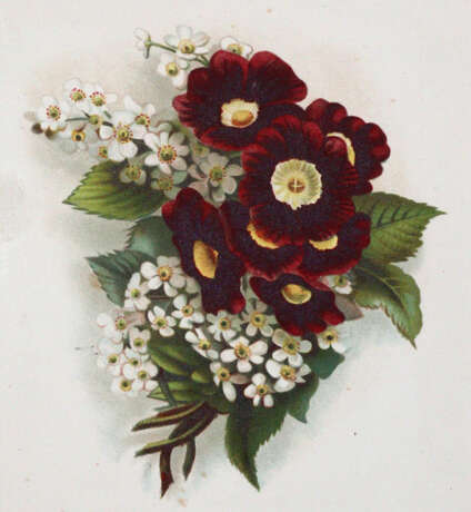 Zeichenschule. - фото 3 Zeichenschule. - фото 3