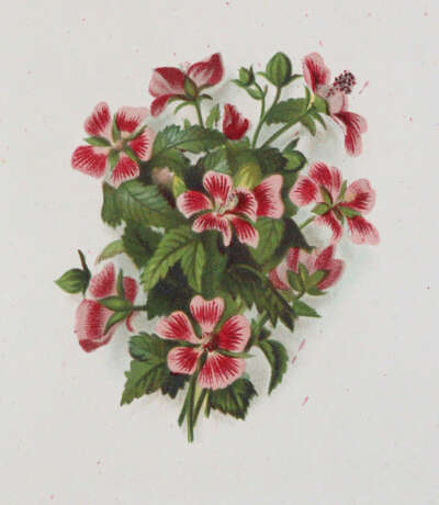 Zeichenschule. - фото 4 Zeichenschule. - фото 4