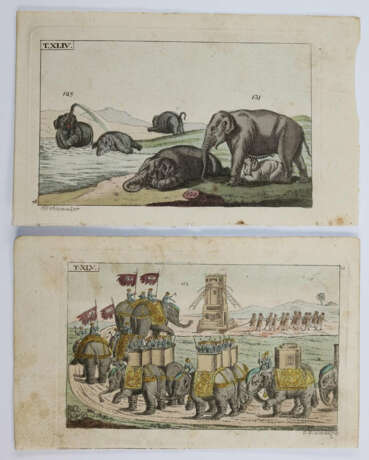 Vögel. - фото 2 Vögel. - фото 2