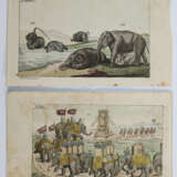 Vögel. - фото 2