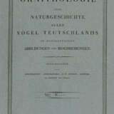 Vögel. - photo 2