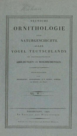 Vögel. - photo 2