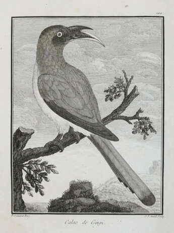 Vögel. - photo 7 Vögel. - photo 7