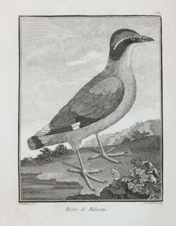 Vögel. - photo 8 Vögel. - photo 8