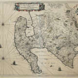 Gallovidae - photo 1