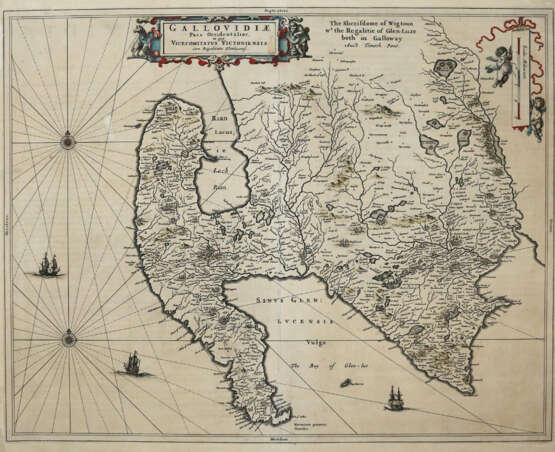 Gallovidae - фото 1 Gallovidae - фото 1