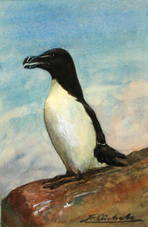 Aichele, Erwin - фото 1 Aichele, Erwin - фото 1