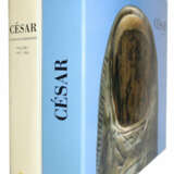 César, d.i. César Baldaccini - фото 5