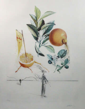 Dali, Salvador - фото 1