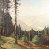 Dörr, Ferdinand - photo 1