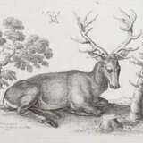 Hollar, Wenzel - photo 1