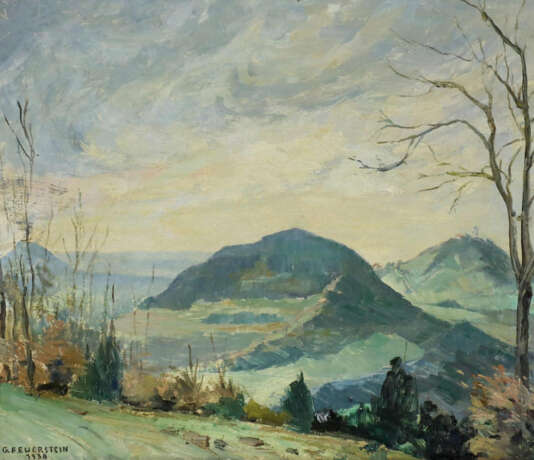 Feuerstein, Gustav Adolf - Foto 1