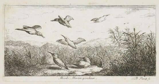 Flamen, Albert - Foto 1 Flamen, Albert - Foto 1