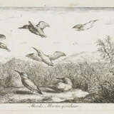 Flamen, Albert - Foto 1