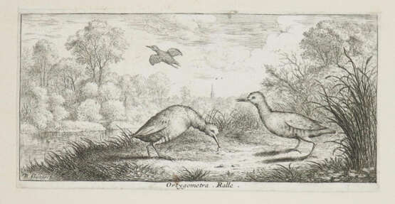 Flamen, Albert - Foto 2 Flamen, Albert - Foto 2