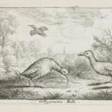 Flamen, Albert - Foto 2