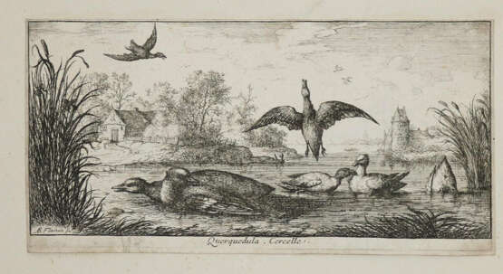 Flamen, Albert - Foto 3 Flamen, Albert - Foto 3