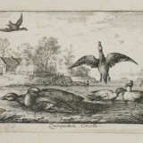 Flamen, Albert - Foto 3