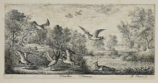 Flamen, Albert - Foto 4 Flamen, Albert - Foto 4