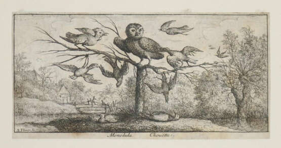 Flamen, Albert - Foto 5 Flamen, Albert - Foto 5