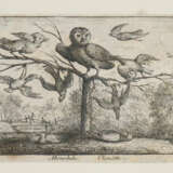 Flamen, Albert - Foto 5