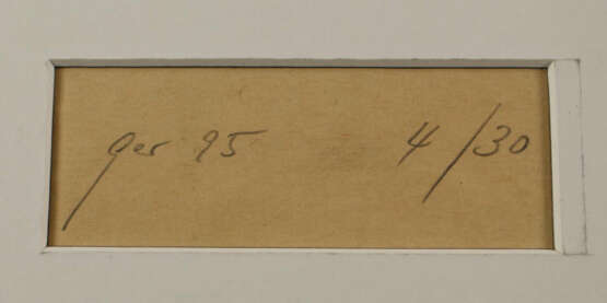 Gerono, Franz Bodo - фото 2