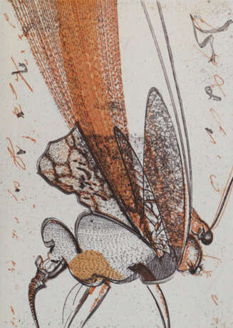 Graphische Kunst. - фото 2