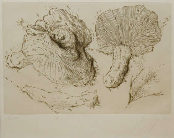 Grass, Günter - фото 1 Grass, Günter - фото 1