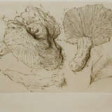 Grass, Günter - фото 1