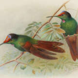 Grönvold, Henrik - Foto 1