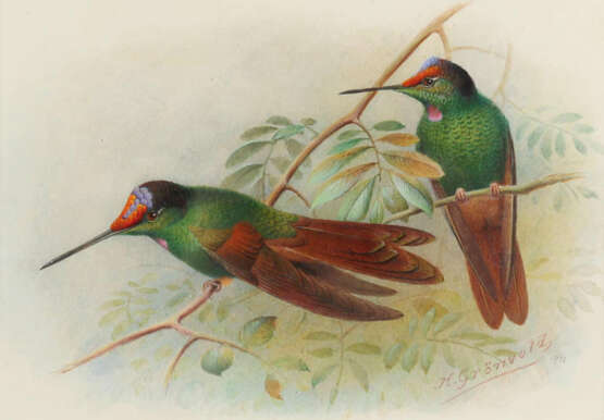 Grönvold, Henrik - Foto 1 Grönvold, Henrik - Foto 1