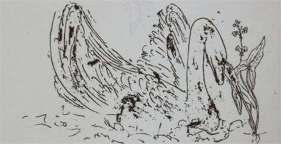 Hafner, Jonas - photo 1