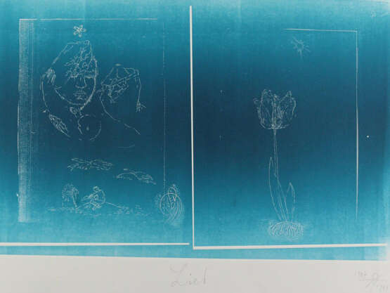 Hafner, Jonas - photo 3