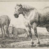 Hecke, Jan Frans van den - фото 1