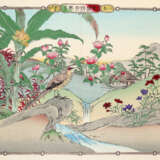 Kushu, Numata - photo 2