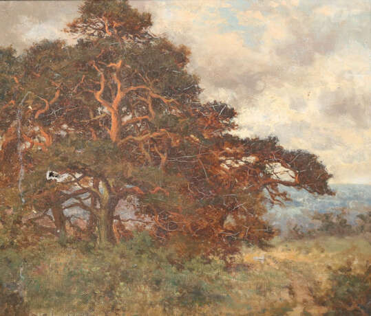 Konvolut - фото 7