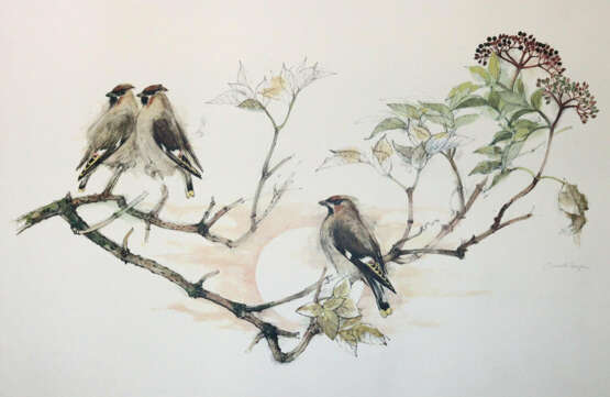 Konvolut - фото 10