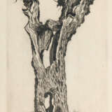 Konvolut - фото 1